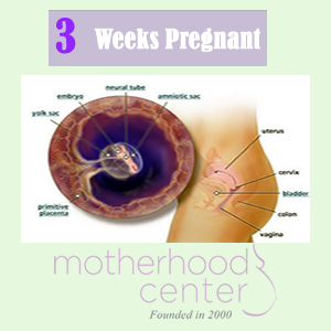 At Three Weeks Pregnant 117