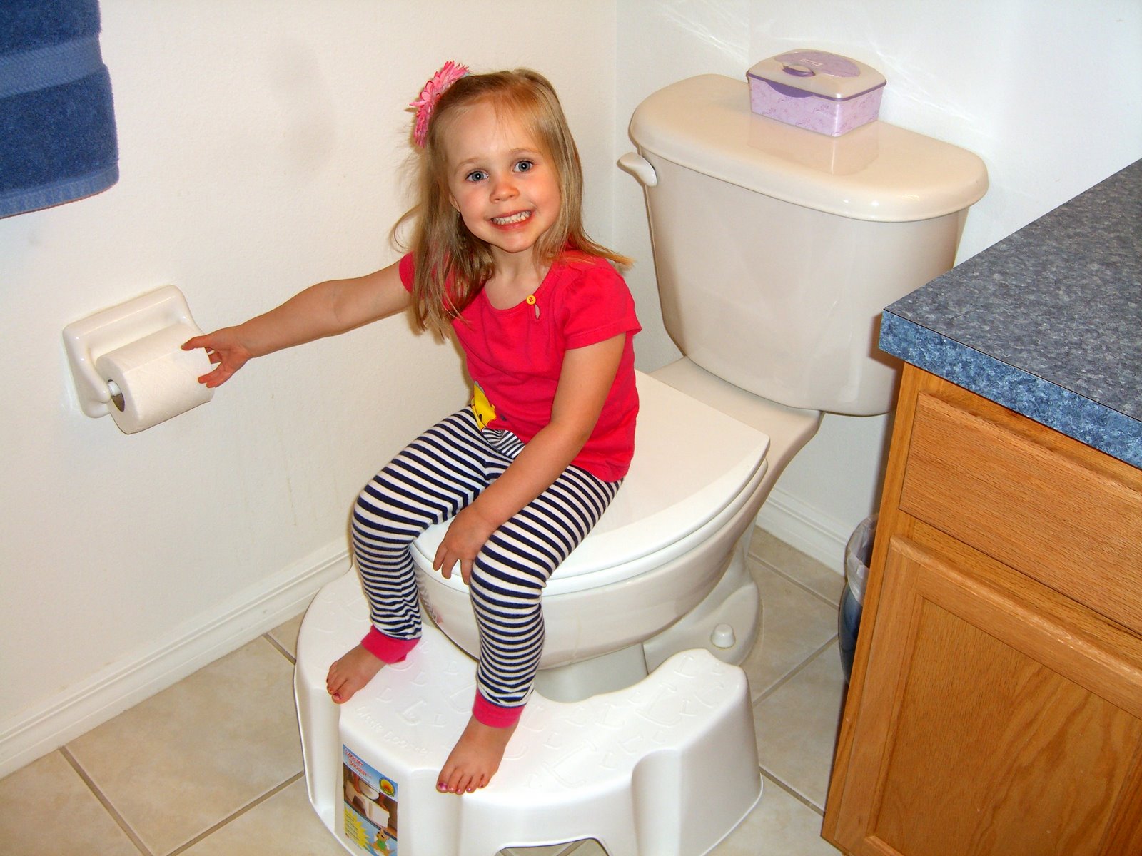 Looking For a Potty Training Booster? Try the Little  Looster!