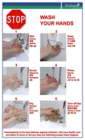 Hand Sanitizer and Hand Washing