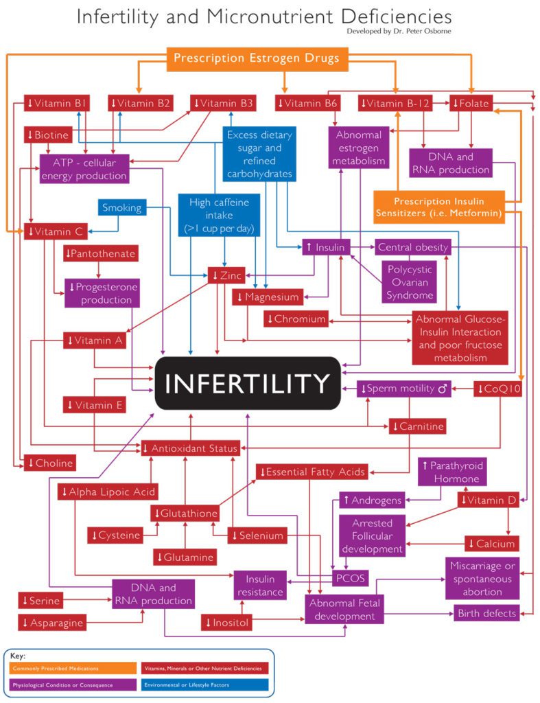 infertility-nutrition