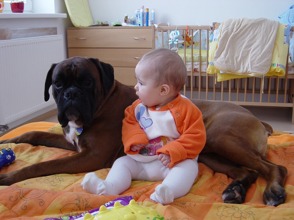 How to Introduce Your Dog to Your New Baby