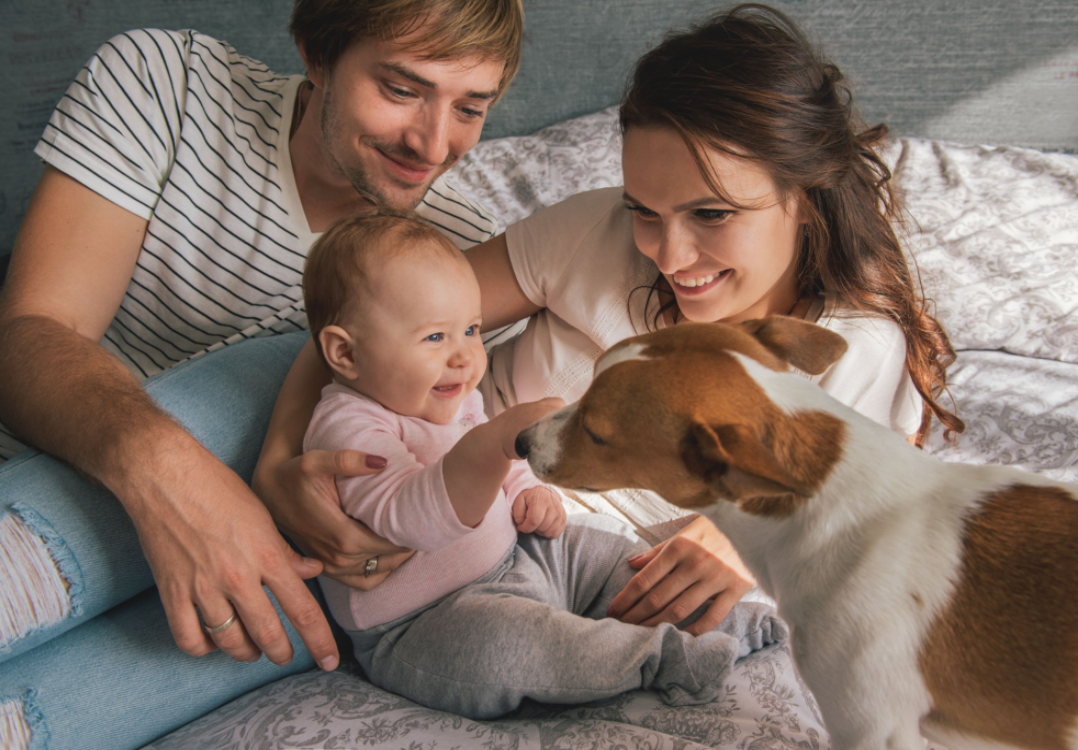Preparing Your Pet for Your New Baby